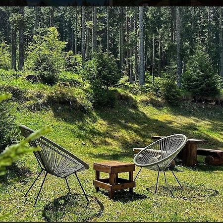 Vila Dragana Žabljak Exteriér fotografie