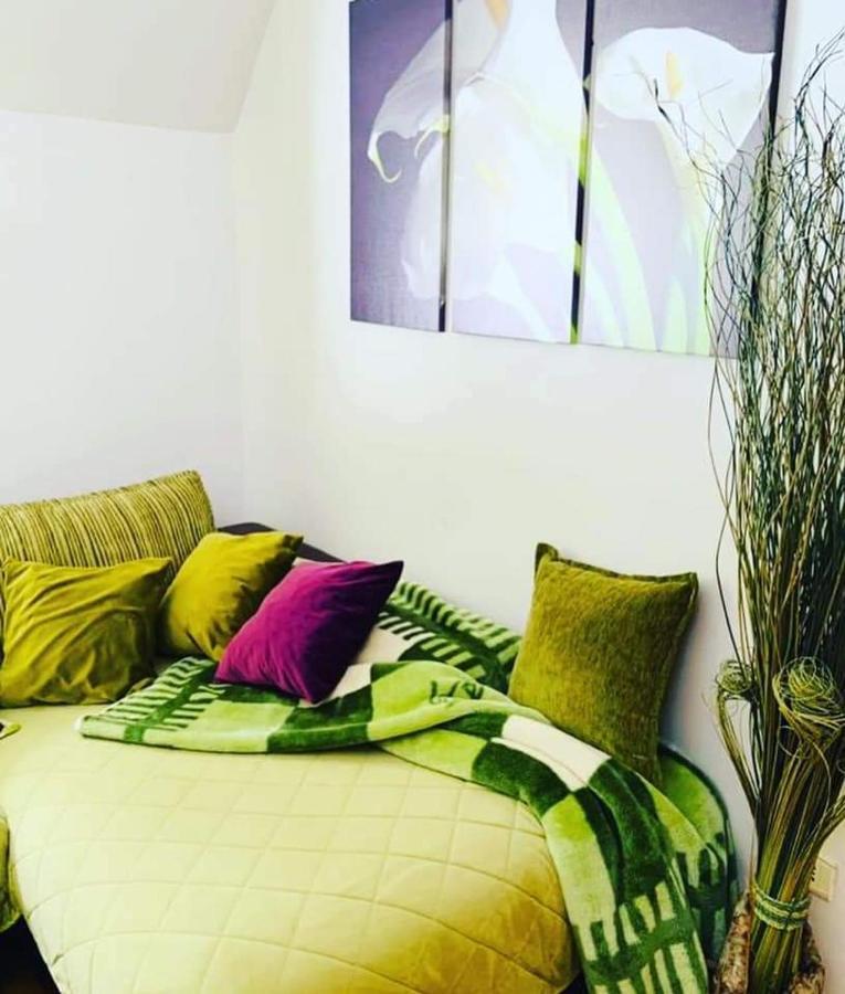 Vila Dragana Žabljak Exteriér fotografie