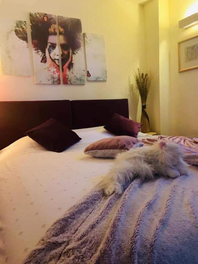Vila Dragana Žabljak Exteriér fotografie