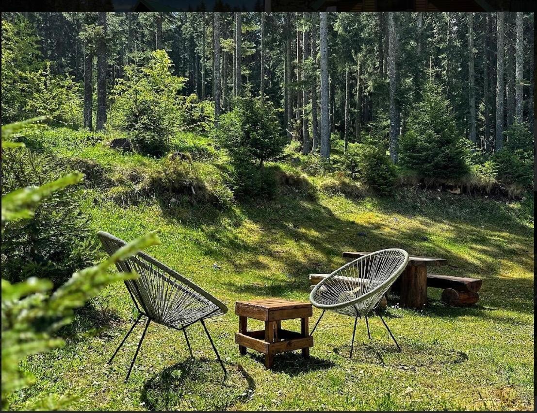 Vila Dragana Žabljak Exteriér fotografie