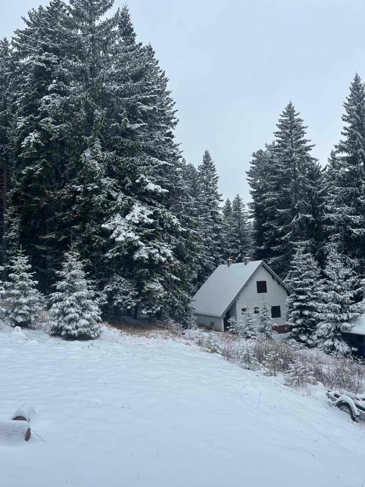 Vila Dragana Žabljak Exteriér fotografie