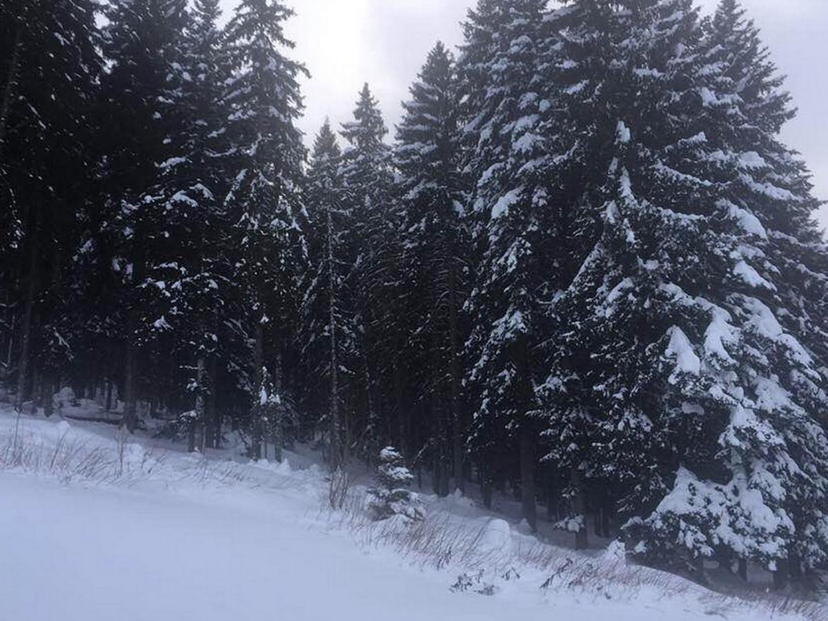 Vila Dragana Žabljak Exteriér fotografie